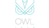 Owl 1975 - Безободковые напольные унитазы