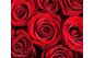 изображение на столешнице: розы