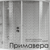Декоративная пленка на стекла душевой двери Radomir со стенкой