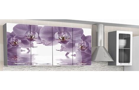 мультиколор, изображение на фасаде: орхидея