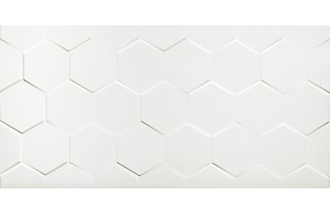 Netto Wall White hexagon 60x30